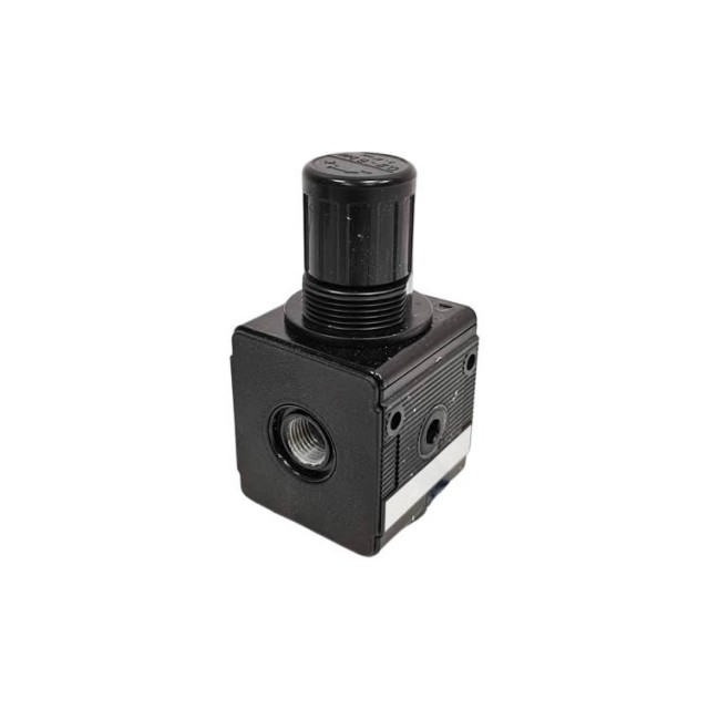 AVENTICS 壓力調(diào)節(jié)器 NL2-RGP-G014-GAN-MAN-060-SS