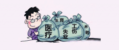 想問下泓灼會(huì)計(jì)有社保嗎？